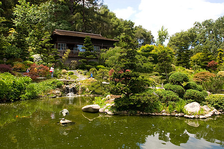 日本花园园林绿化反射竹子冥想晴天花园怀旧树林绿色图片