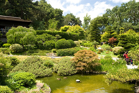 日本花园绿色植物晴天园林公园冥想树林池塘绿化反射图片