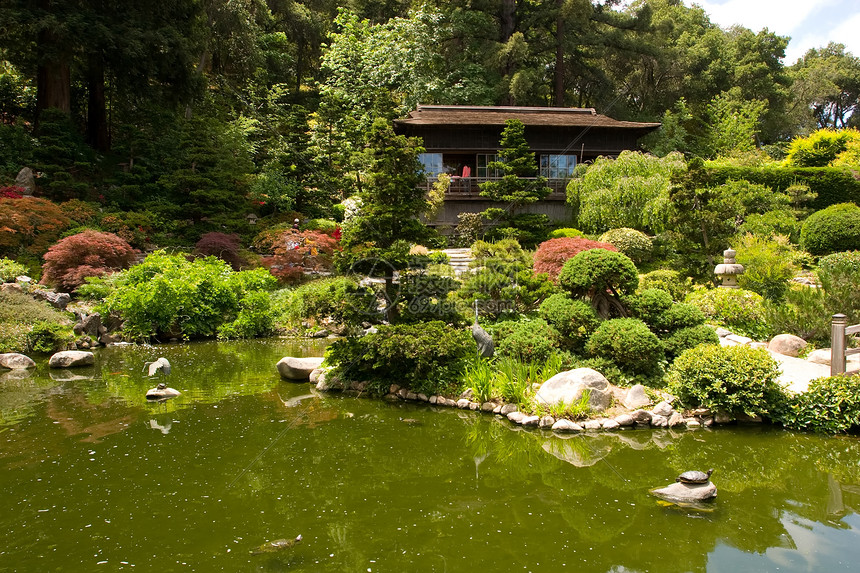 日本花园绿色公园冥想池塘竹子晴天园林怀旧花园反射图片