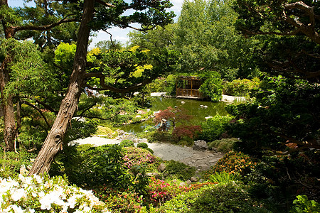 日本花园绿化绿色晴天园林池塘反射冥想竹子植物树林图片