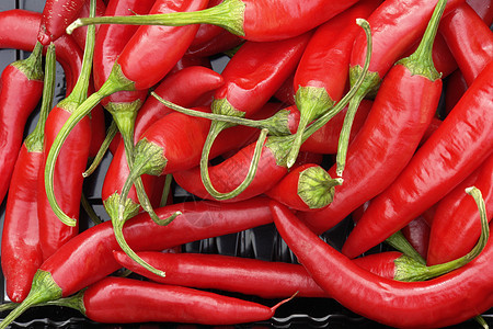 热辣辣椒食物胡椒香料水果蔬菜红色寒冷图片