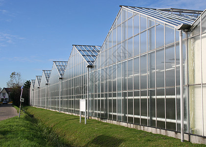 玻璃房绿色园艺植物农村国家玻璃农田栽培农业食物图片