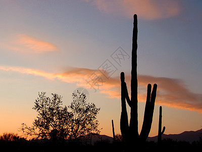 沙漠中的日出时间背景图片
