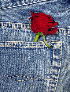 口袋里有一朵玫瑰红色蓝色衣服牛仔裤图片