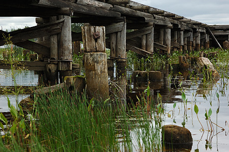 旧木桥国家休息日志石头人行道反思淡水藻类木板芦苇图片