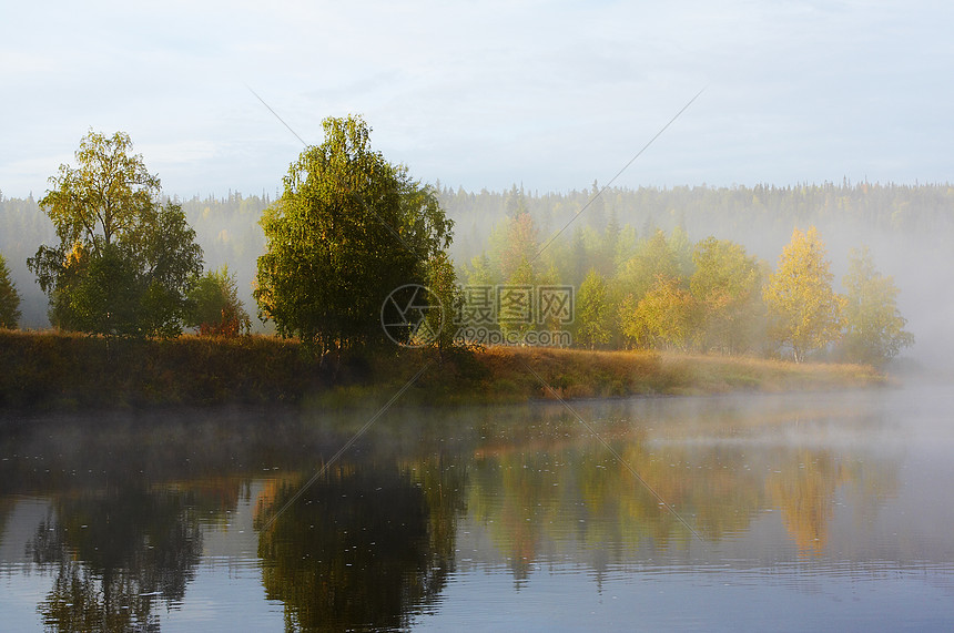 上午雾反射森林溪流秋色桦木薄雾图片