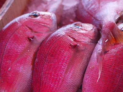 红鱼摊位市场食物红色展示动物海鲜图片