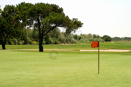 高尔旗帜课程运动游戏娱乐球道闲暇推杆高尔夫球绿色背景图片
