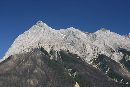 落岩山脉全景地形侵扰害虫蓝色松树风景岩石旅行顶峰背景图片