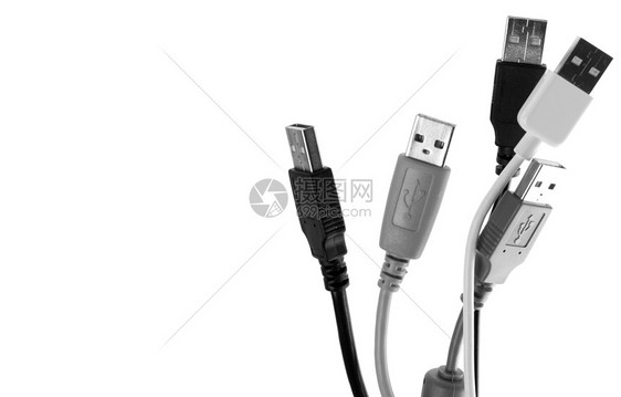 白线线(usb)图片