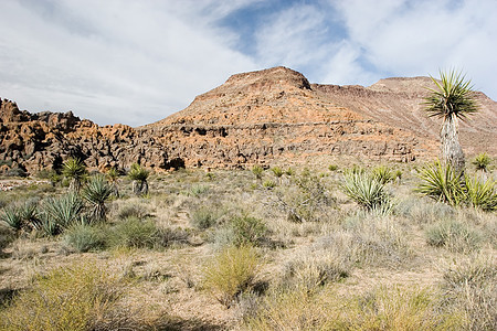 莫哈韦场地丘陵部落岩石国家游客荒野刷子孤独公园图片