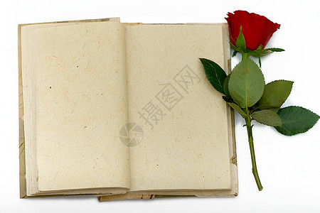 日记 有开张的床单和红玫瑰图片