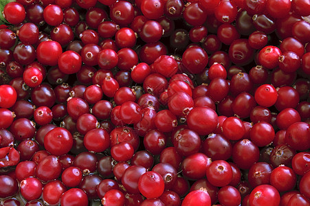 草莓营养浆果厨房甜点活力水果背景图片