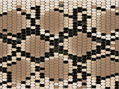 Lozenge蛇皮模仿动物群黑色菱形动物打印纺织品灰色爬虫纹理图片