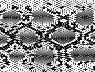 黑白蛇皮黑色动物蛇蝎鳞片状蛇形异国模仿灰色打印隐藏图片
