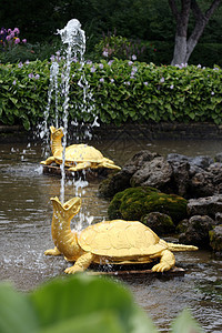 彼得霍夫海龟喷泉对称图片