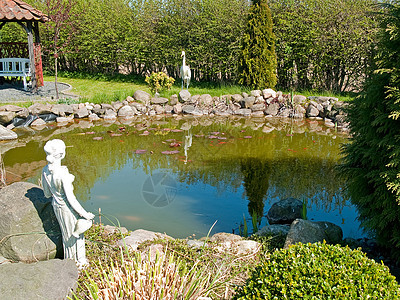 古典美丽的夏花花园鱼池图片