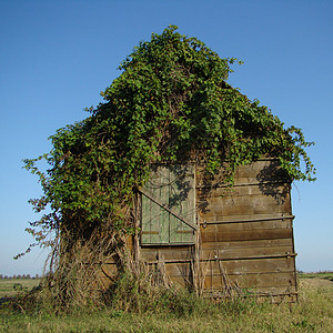 挂件国家农场博物馆小木屋小屋爬行者场地乡愁记忆木头图片