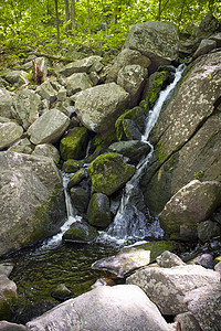 瀑布流动木头场景苔藓假期岩石荒野农村美丽树木图片