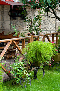有很多绿色植物的露天空咖啡厅栅栏园艺食堂花园街道花朵露台小酒馆木头金属图片