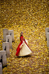 秋天森林中的淑女女士仙境裙子树叶邮政栅栏树林传奇神话红色图片