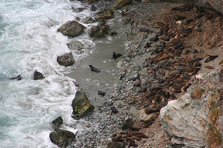 大南岩石麦威顶峰海洋海拔公园日落瀑布悬崖爬坡图片