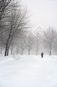 人在雪地公园中行走图片