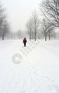 人走在雪路上图片