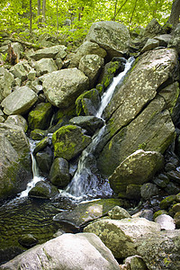 瀑布岩石木头苔藓场景假期美丽石头山脉森林叶子图片