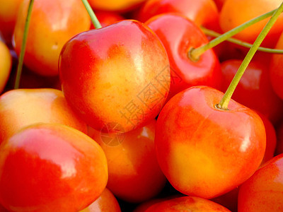 双色樱桃黄色红色水果食物背景图片