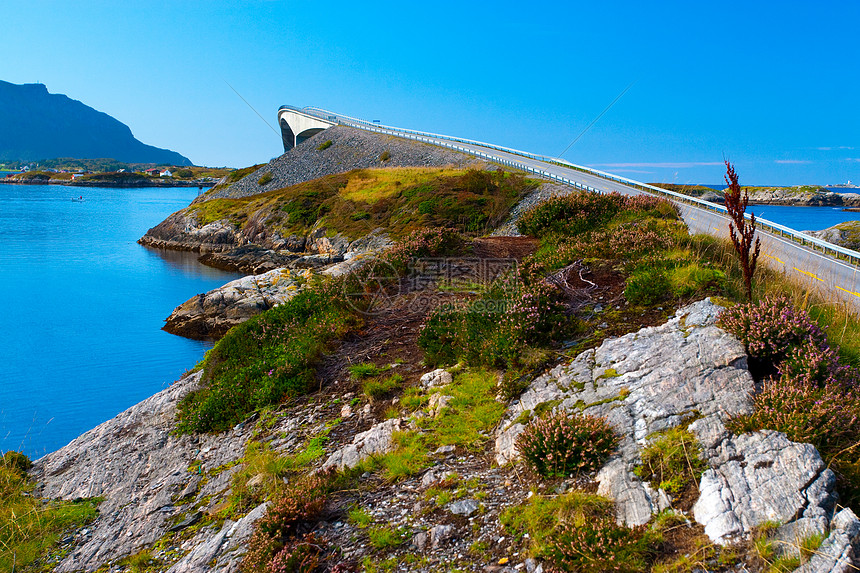 沿海公路海岸天空海洋石头蓝色地平线支撑小路绿色植物图片