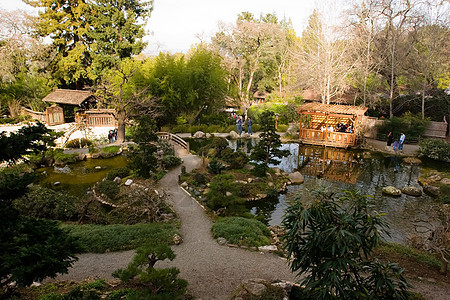 哈孔花园竹子植物花园池塘公园晴天反射冥想绿化园林图片