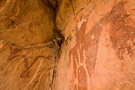 蛇群象形图岩画文化评书绘画文明文字原住民历史图片