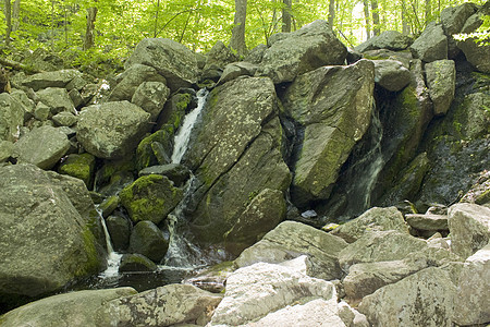 美丽的瀑布溪流假期流动苔藓植物季节公园岩石叶子树木图片
