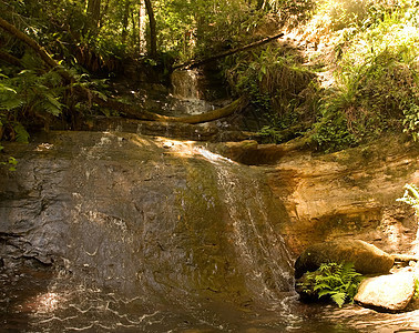 Berry Creek瀑布小路森林后路瀑布盆地乡村公园巨石流动岩石石头图片