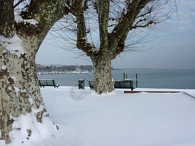 冬季公园港口码头座位长椅树木天空分支机构季节城市树干图片