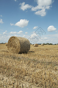 海考克 夏末草垛黄色小麦蓝色地平线场地收成乡村农村草堆图片