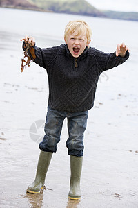 年轻男孩站在沙滩上 抱着树叶微笑着微笑海藻海洋海滩海岸活力相机男性小男孩孩子孩子们图片