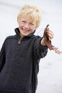 年轻男孩站在沙滩上 抱着树叶微笑着微笑季节男性孩子相机活力小男孩衣服海藻孩子们海洋图片