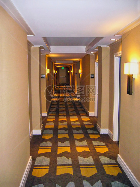 旅馆走廊小地毯情况装饰门厅奢华风格人行道地面地毯图片