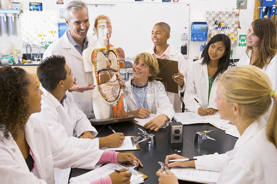 与教师一起参加生物课的学生着装一代金发休闲服生物学婴儿休闲解剖学成年人棕色图片