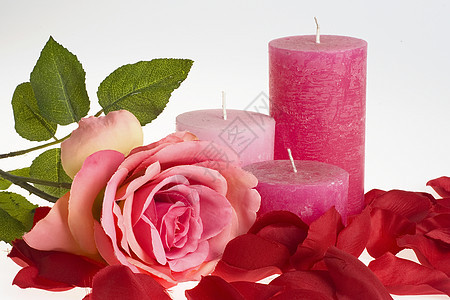 玫瑰红色叶子蜡烛树叶玫瑰叶婚姻粉色背景图片