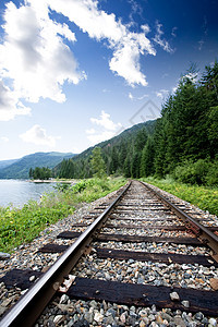 火车轨道交换运输铁路森林公园曲目国家背景图片