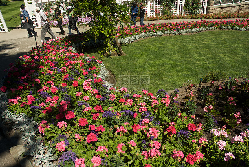 不列颠哥伦比亚省维多利亚州布查特花园旅行美丽花园植物反射公园树木花朵地标照片图片