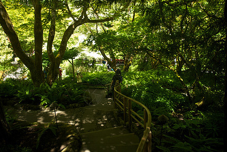 不列颠哥伦比亚省维多利亚州布查特花园旅行植物冥想花园地标反射风景花朵照片公园图片