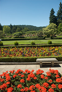 不列颠哥伦比亚省维多利亚州布查特花园美丽公园风景花朵植物游客花园树木冥想地标图片