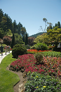 不列颠哥伦比亚省维多利亚州布查特花园风景植物地标游客公园旅行照片反射美丽冥想图片