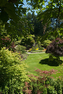 不列颠哥伦比亚省维多利亚州布查特花园美丽公园花园游客照片反射花朵植物冥想风景图片