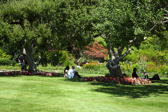 不列颠哥伦比亚省维多利亚州布查特花园美丽树木旅行照片游客花朵地标反射风景植物图片