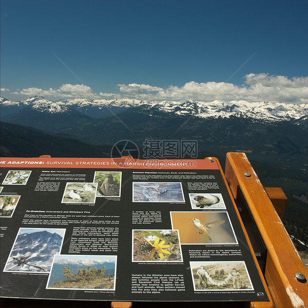 夏季惠斯勒山高峰会议旅行哨子全球山脉风景顶峰荒野滑雪山照片冰川图片